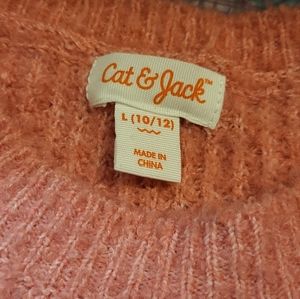 Pink cat and Jake sweater